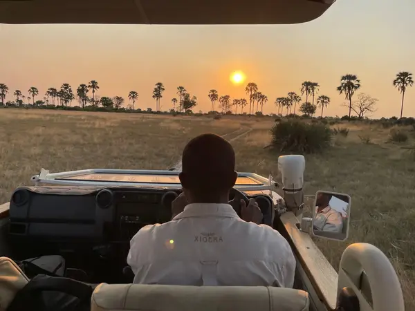 Sunset game drive in the Okavango Delta, Botswana